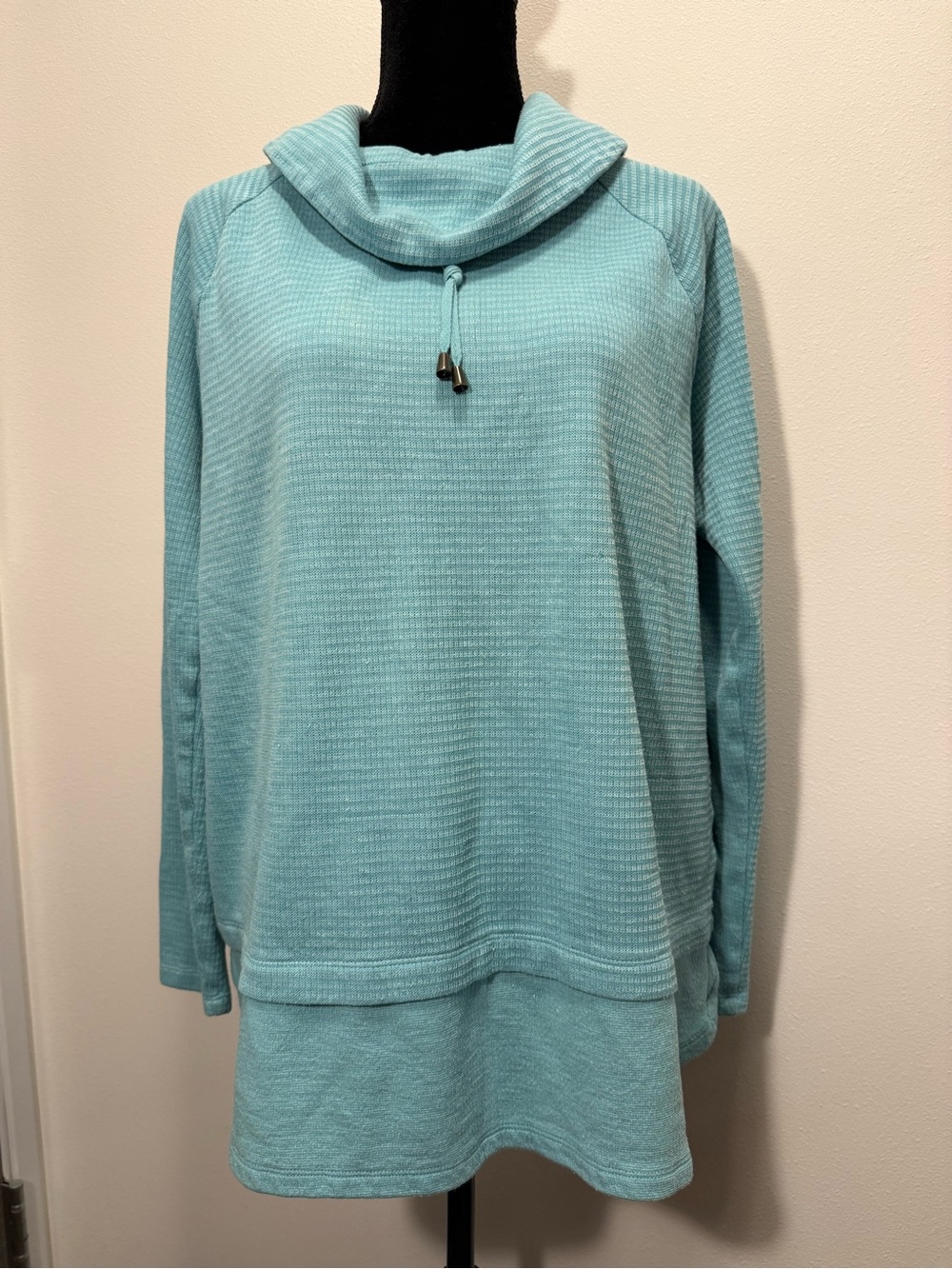 🚨LAST CHANCE!!!🚨 J. Jill Aqua Cowl Neck Pullover Sweater